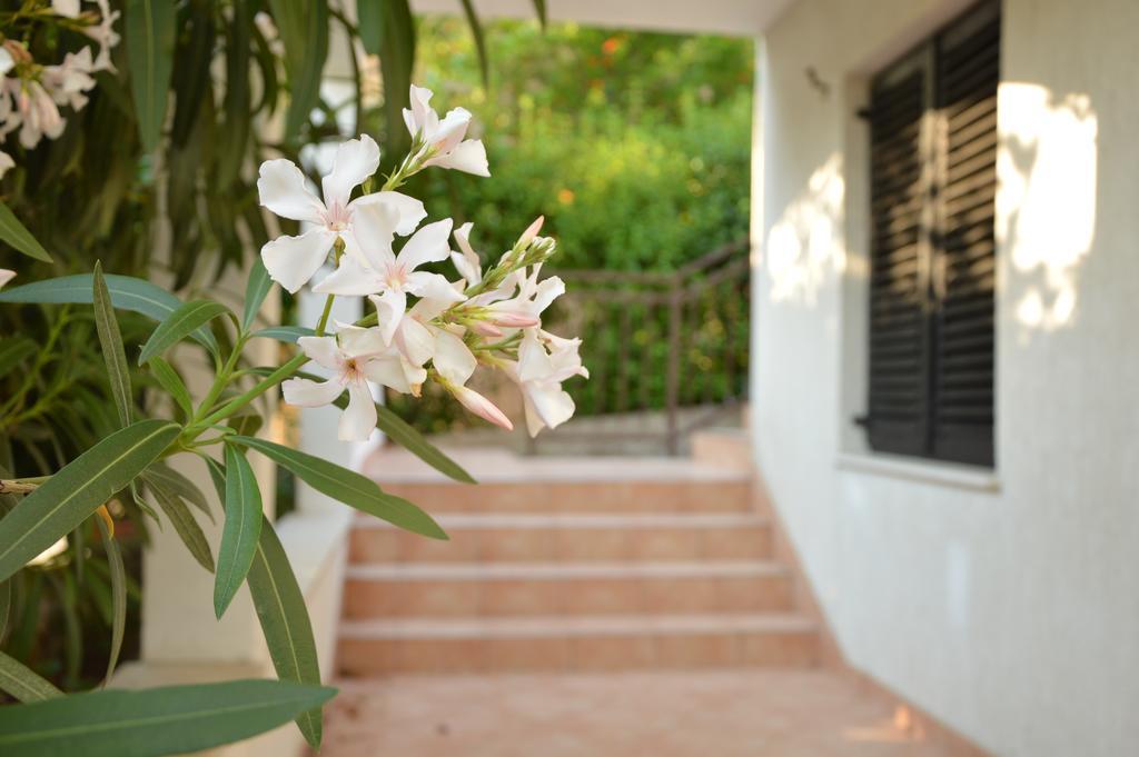 Podglavica Holiday House Maja מראה חיצוני תמונה